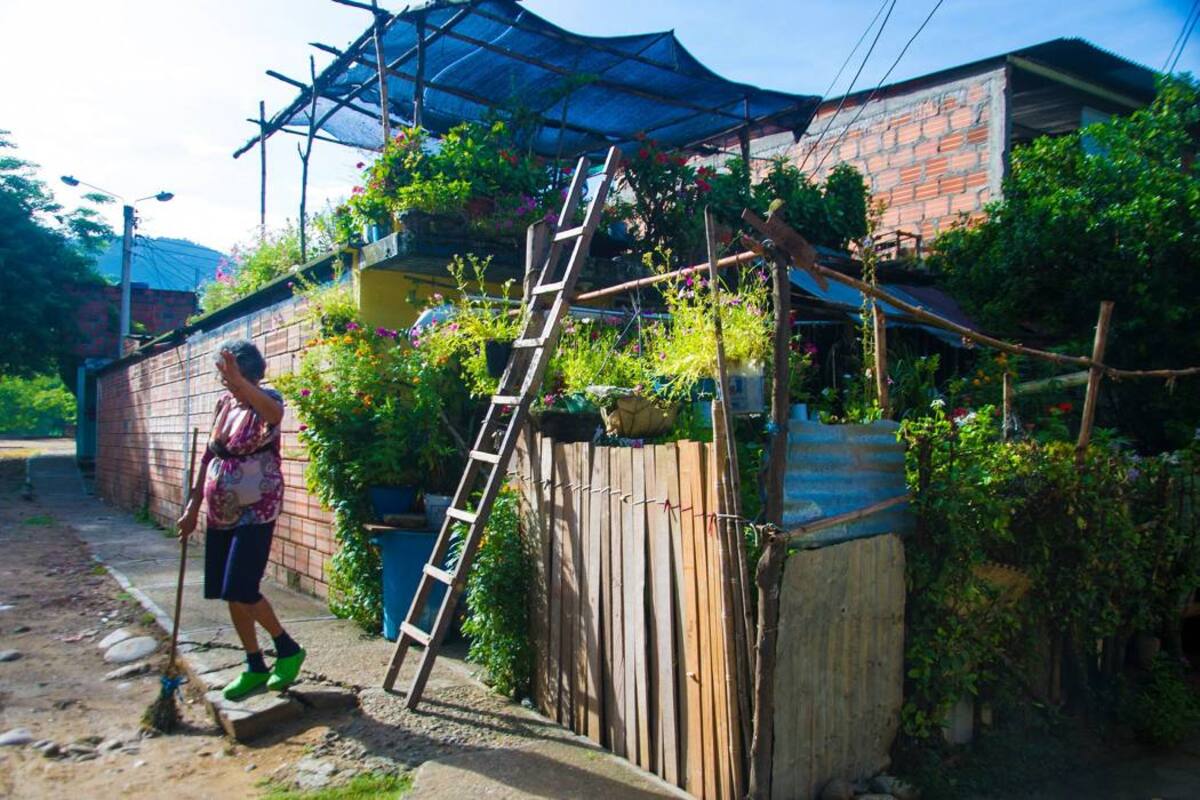El jardín de una mujer donde ‘florece’ esperanza en el Norte de Bucaramanga (Foto: CORTESÍA DIDIER NIÑO/VANGUARDIA LIBERAL)