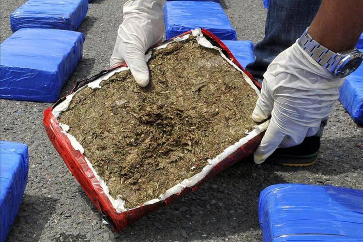 La cantidad de droga confiscada en Australia bate un nuevo récord (Foto: Tomada de Internet/ VANGUARDIA LIBERAL)