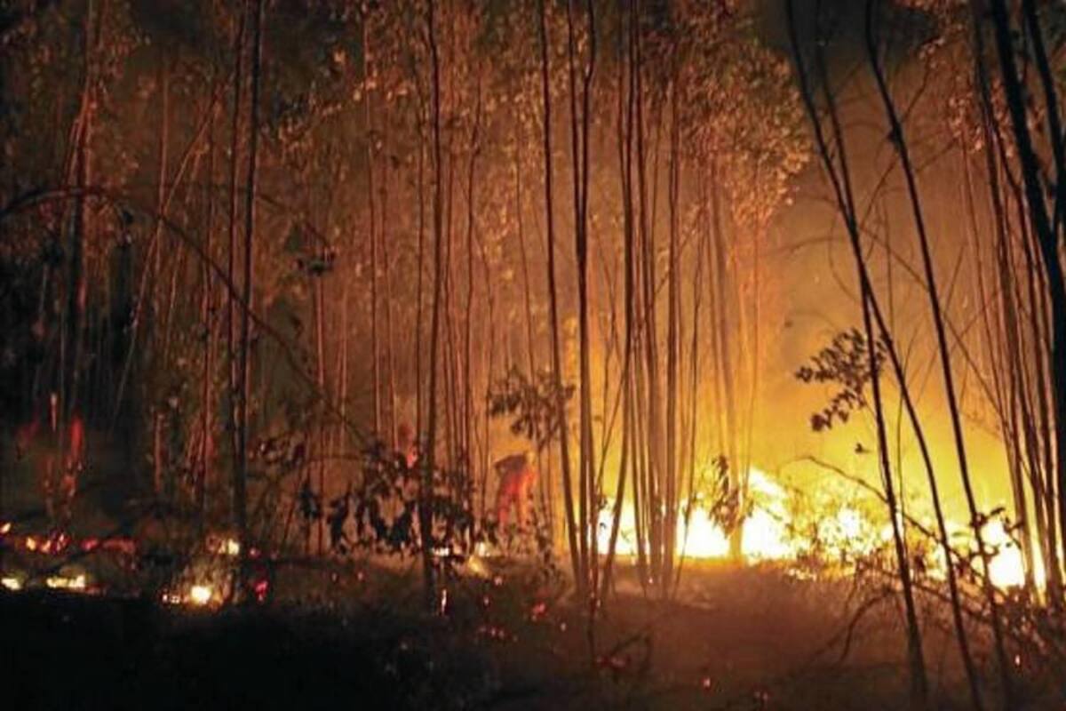 Incendios queman más de 17.600 hectáreas en Ecuador y causan cinco muertes (Foto: Tomado de Internet/ VANGUARDIA LIBERAL)