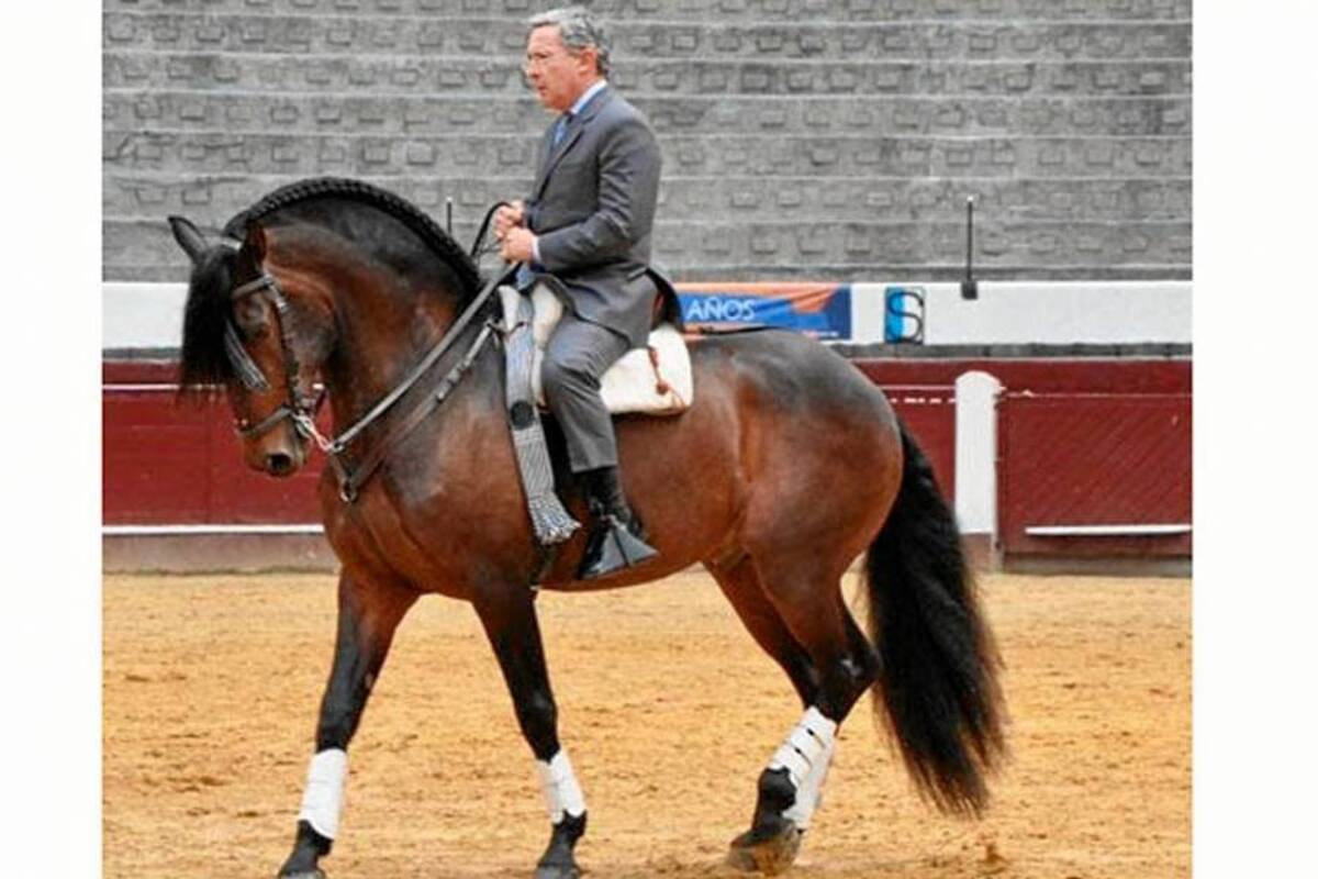 Expresidente Uribe se cayó de un caballo en su hacienda (Foto: Tomado de Internet/ VANGUARDIA LIBERAL)