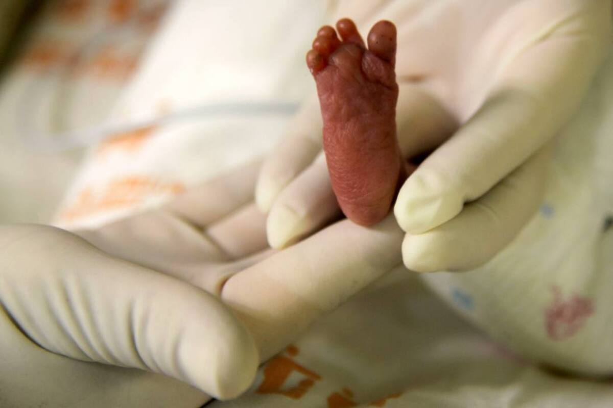 Claves para ampliar el desarrollo y vida de los hijos (Foto: Archivo /VANGUARDIA LIBERAL)
