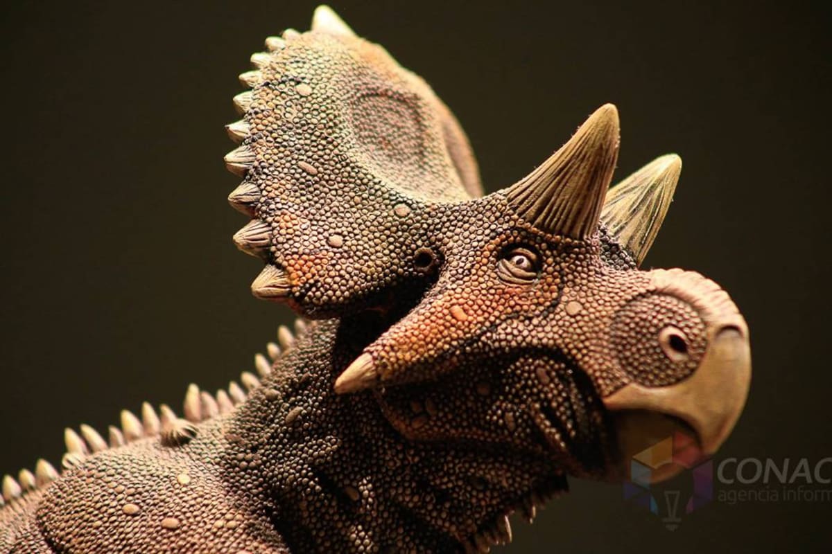 Descubrieron nueva especie de dinosaurio en México (Foto: EFE /VANGUARDIA LIBERAL)