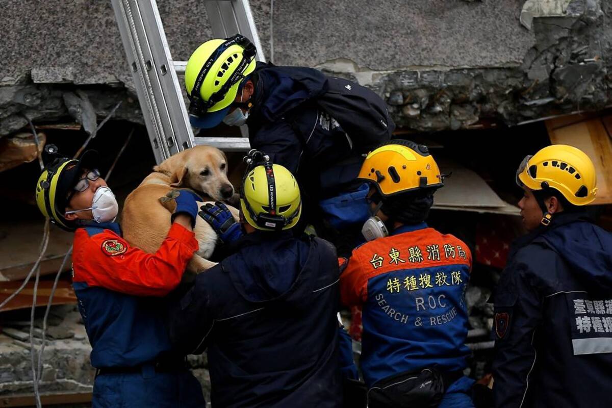 Buscan sobrevivientes de fuerte sismo que deja 7 muertos y 76 desaparecidos en Taiwán (Foto: EFE/ VANGUARDIA LIBERAL)