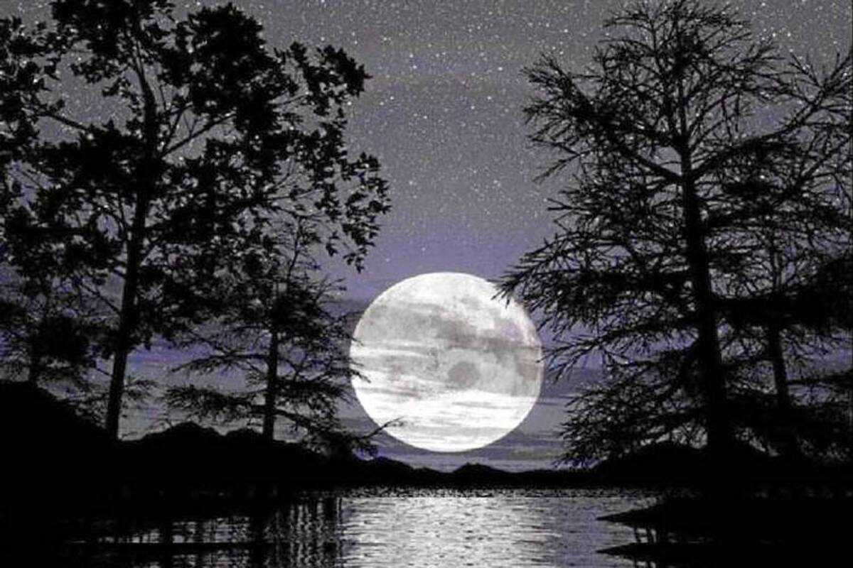 La Luna se verá más grande este sábado (Foto: Archivo/VANGUARDIA LIBERAL)