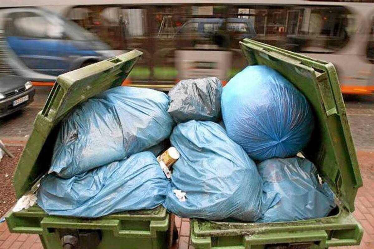 Los alemanes tiran al año once millones de toneladas de alimentos a la basura (Foto: Tomado de internet/ VANGUARDIA LIBERAL)