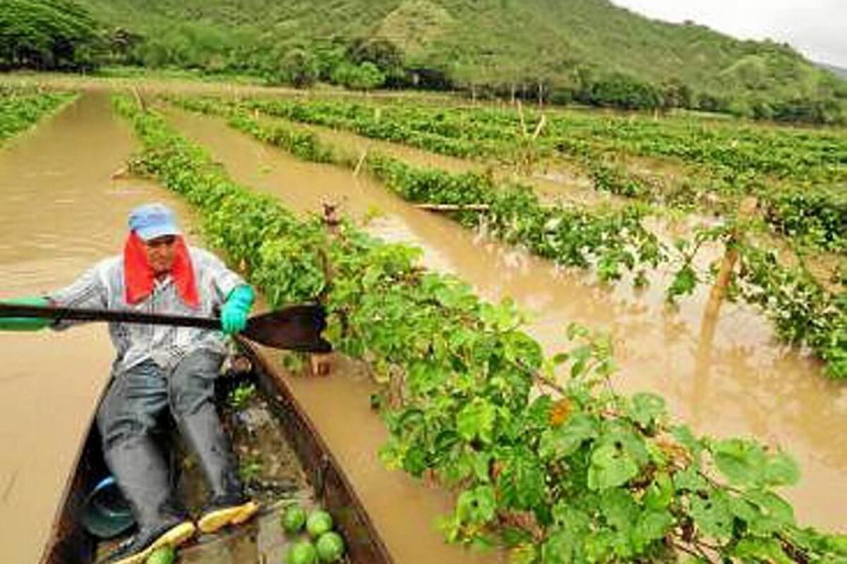 La SAC respalda la realización del Censo Nacional Agropecuario (Foto: Archivo/VANGUARDIA LIBERAL)