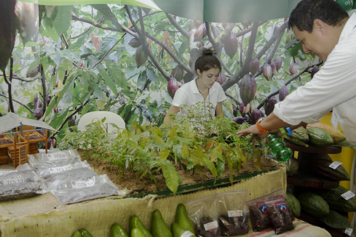 (Foto: Suministrada Cenfer)