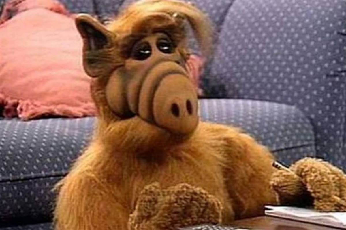 Warner Bros. TV se plantea recuperar la serie "ALF" (Foto: Tomada de Infobae.com /VANGUARDIA LIBERAL)