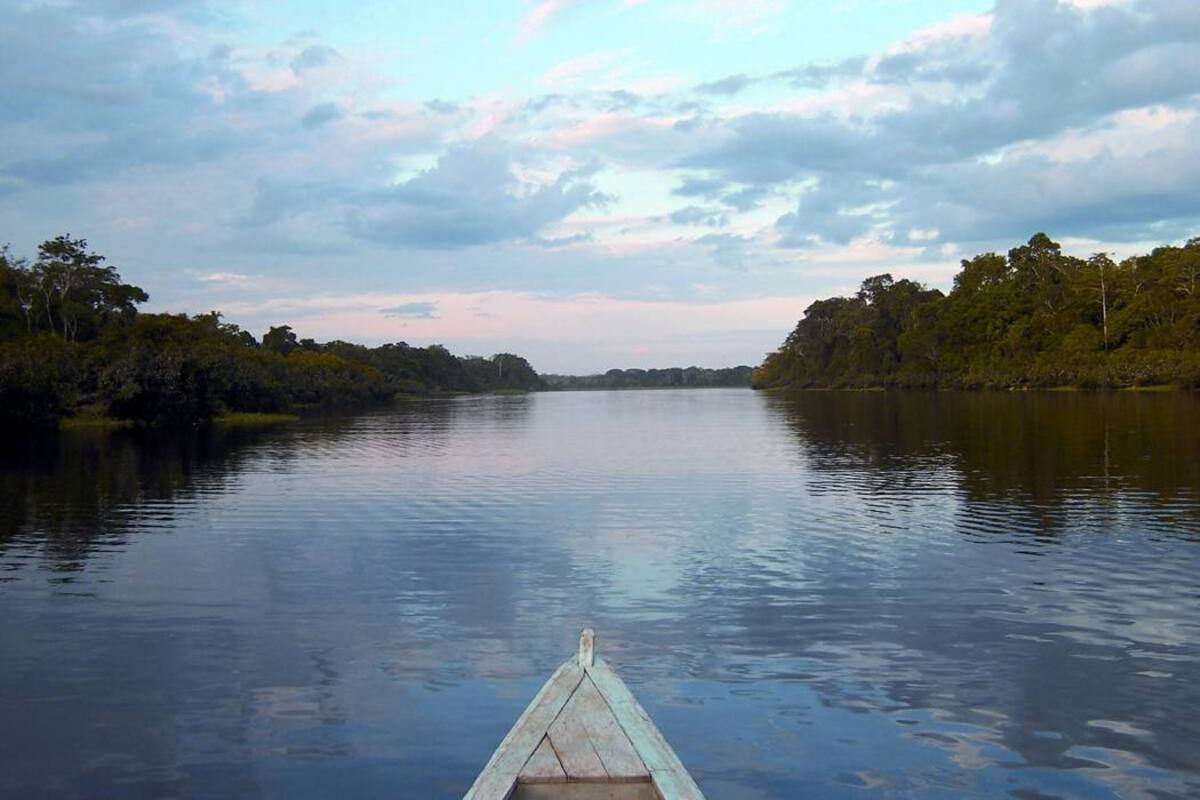 "En 2020 tendremos cero deforestación en la Amazonía”: Minambiente (Foto: Archivo/VANGUARDIA LIBERAL)