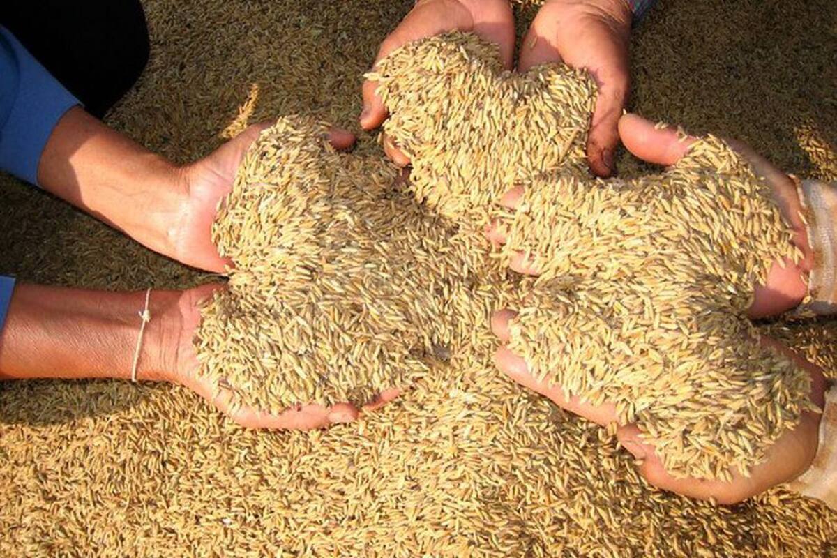 ¿Se comercializa 'arroz plástico' proveniente de China en Colombia? (Foto: Colprensa /VANGUARDIA LIBERAL)