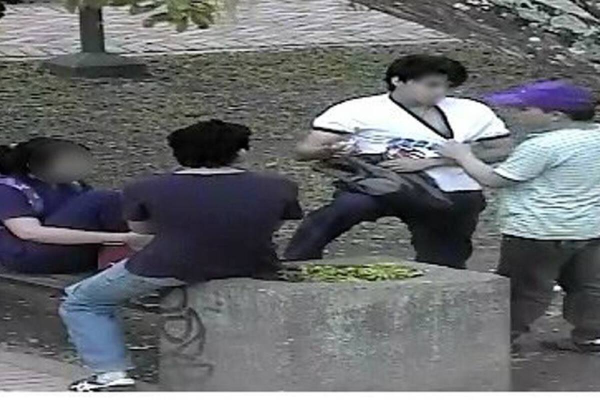En video quedó registrado atraco en el parque San Pío (Foto: Foto Suministrada/VANGUARDIA LIBERAL)