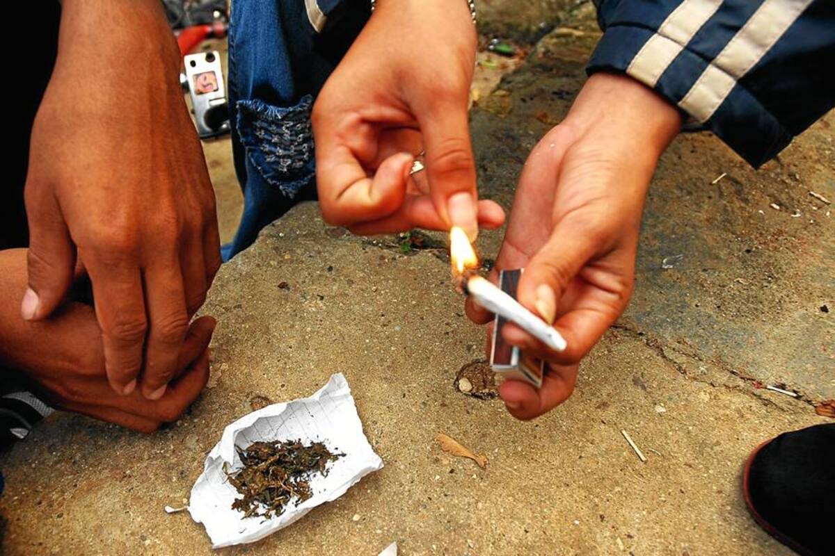 Miles de personas piden la legalización de la marihuana en Río de Janeiro (Foto: Archivo/VANGUARDIA LIBERAL)