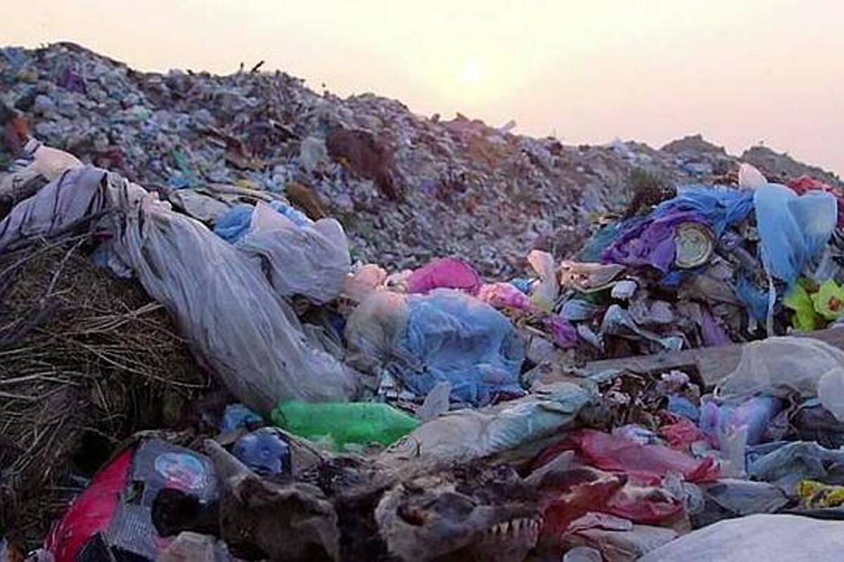 Hong Kong, la ciudad más sucia del mundo, revela las caras de los que tiran basura (Foto: TOMADO DE YOUTUBE.COM/VANGUARDIA LIBERAL)