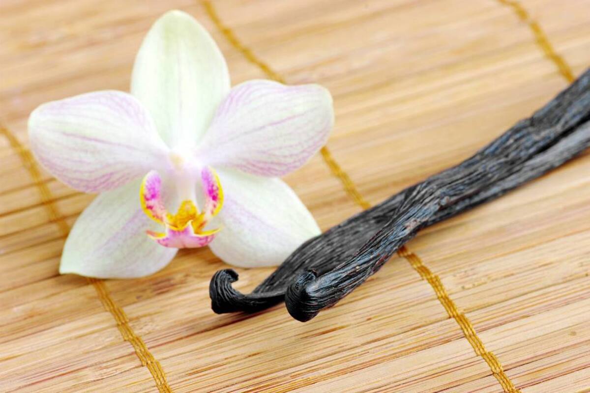 La vainilla es un fruto procedente de la orquídea y además de que su olor es delicioso y su sabor en esencia es sabroso, tiene también propiedades que resultan benéficas para el organismo. (Foto: Banco de Imagenes )