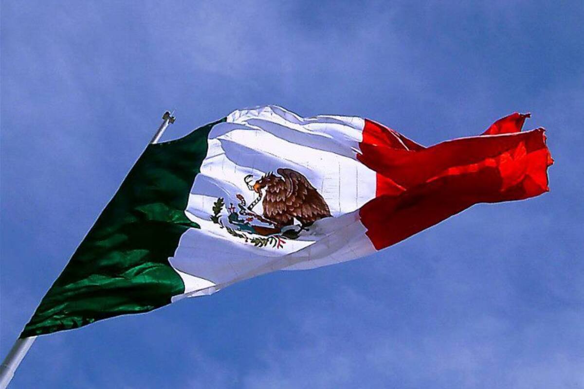 Son seis los crímenes registrados este año en México. (Foto: Internet/ VANGUARDIA LIBERAL)