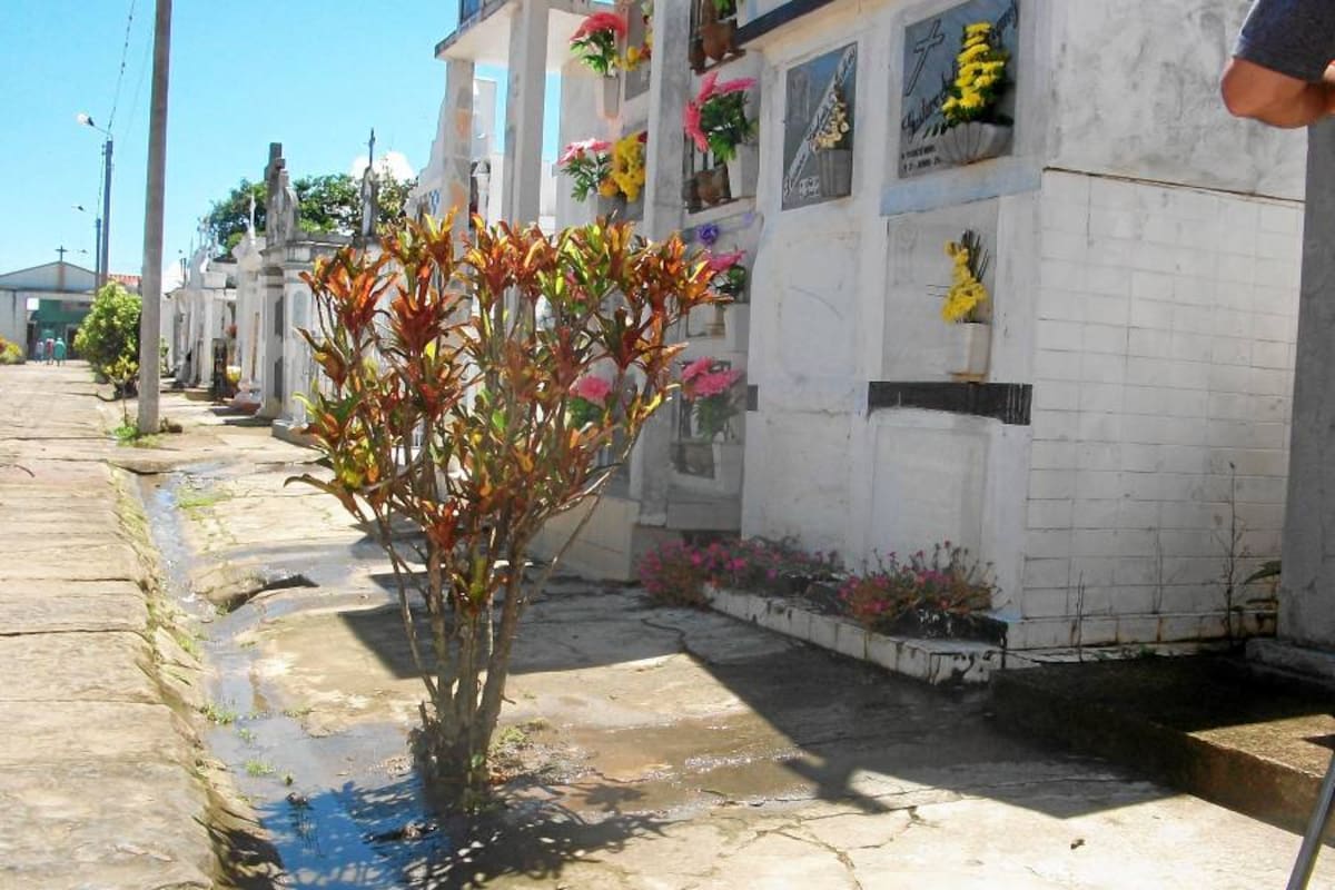 Joven profanó la tumba de su progenitora en la vereda Santa Rita (Foto: Archivo/ VANGUARDIA LIBERAL)