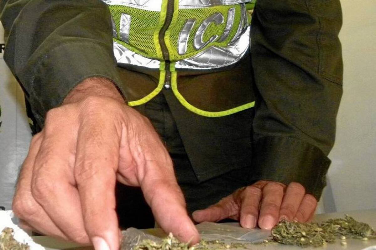 Incautan más de 1,6 toneladas de marihuana en Chocó (Foto: Archivo/ VANGUARDIA LIBERAL)