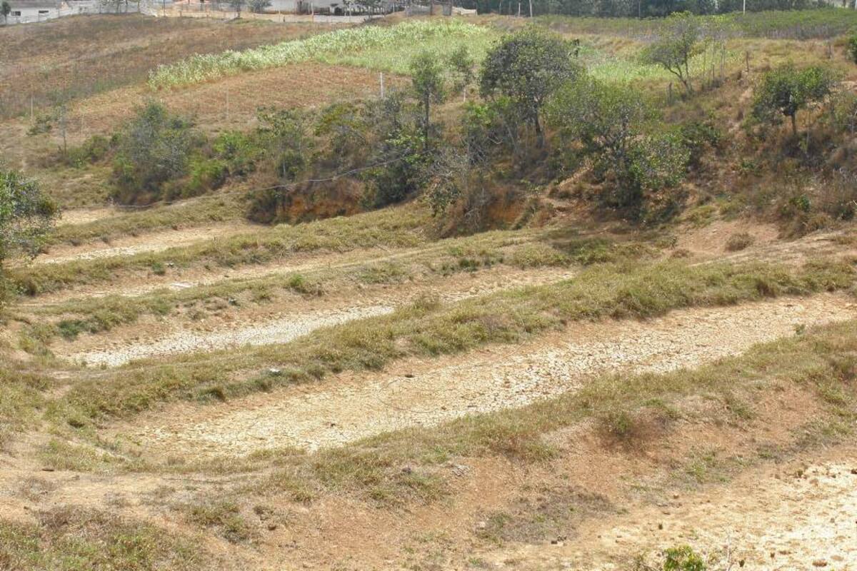 Si llega El Niño lo haría en enero (Foto: Archivo/ VANGUARDIA LIBERAL)