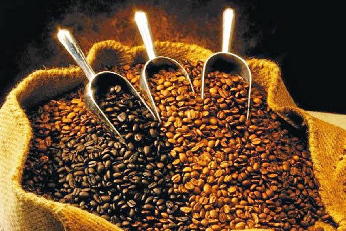 Exportaciones de café ascendieron a 550.000 sacos en mayo (Foto: Tomada de http://inflacion.com.co /VANGUARDIA LIBERAL)