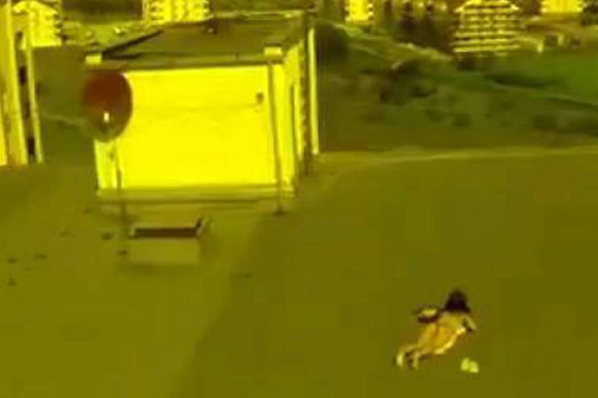 Compró un drone para espiar a la vecina que tomaba sol desnuda