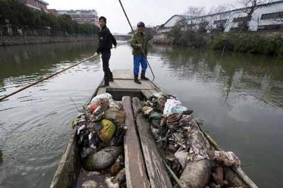 Carne de cerdos muertos por enfermedad se vendió en Shanghái durante años (Foto: Tomada de Internet/VanguardiaLiberal)