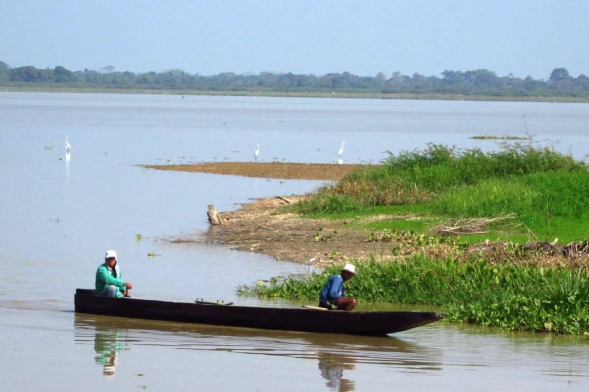 Ciénaga El Llanito de Barrancabermeja (Foto: ARCHIVO/VANGUARDIALIBERAL)