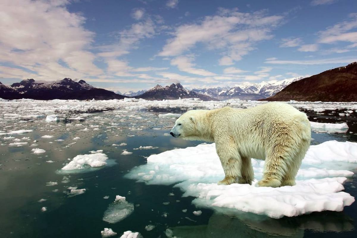¿Realmente existe el cambio climático?