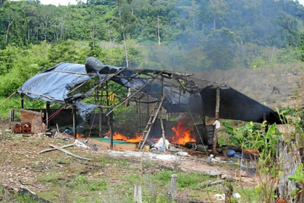 Destruidos tres laboratorios para el procesamiento de coca (Foto: Archivo/VANGUARDIA LIBERAL)