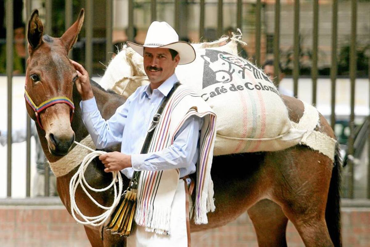 Juan Valdez debuta en Miami (Foto: Tomada de Internet/VanguardiaLiberal)
