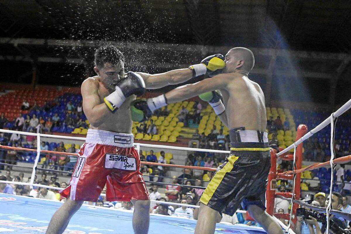 Nuevos campeones nacionales de boxeo (Foto: Colprensa/VANGUARDIA LIBERAL)