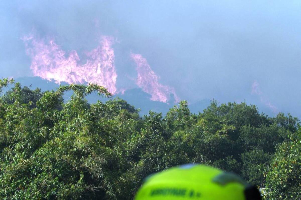 Incendio consume reserva natural en Casanare (Foto: Colprensa/VANGUARDIA LIBERAL)