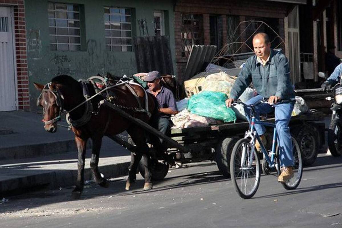 Bogotá quiere erradicar los vehículos de tracción animal (Foto: Colprensa/VANGUARDIA LIBERAL)