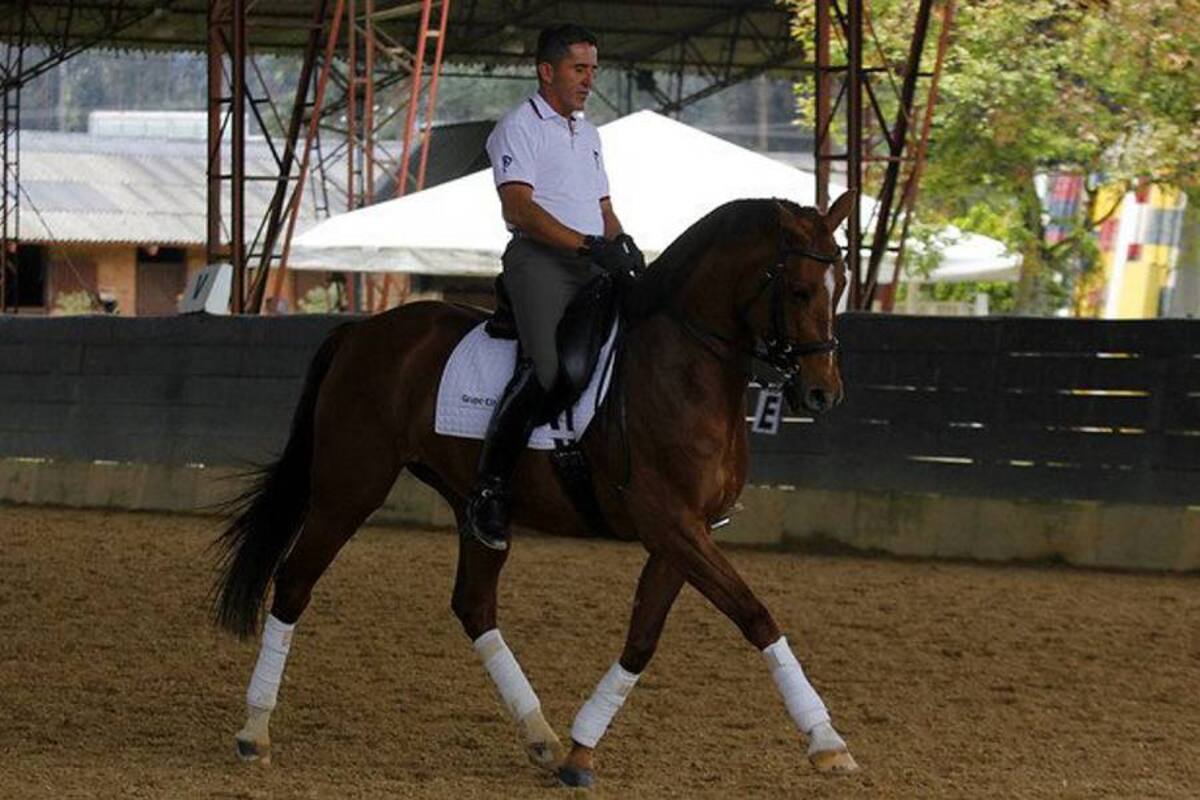 César Parra, el ‘Falcao’ de los caballos en Colombia (Foto: Colprensa/VANGUARDIA LIBERAL)