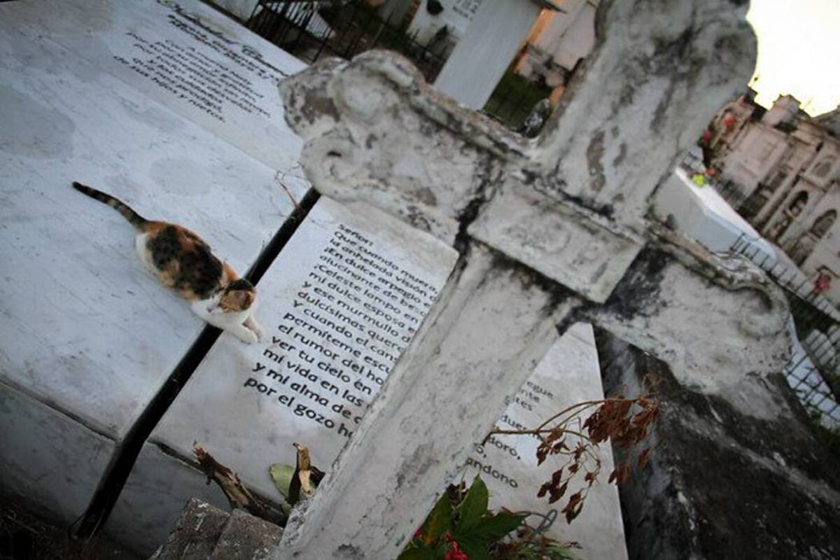 Hoy sepultan a niños muertos al inhalar gas en Antioquia (Foto: COLPRENSA)