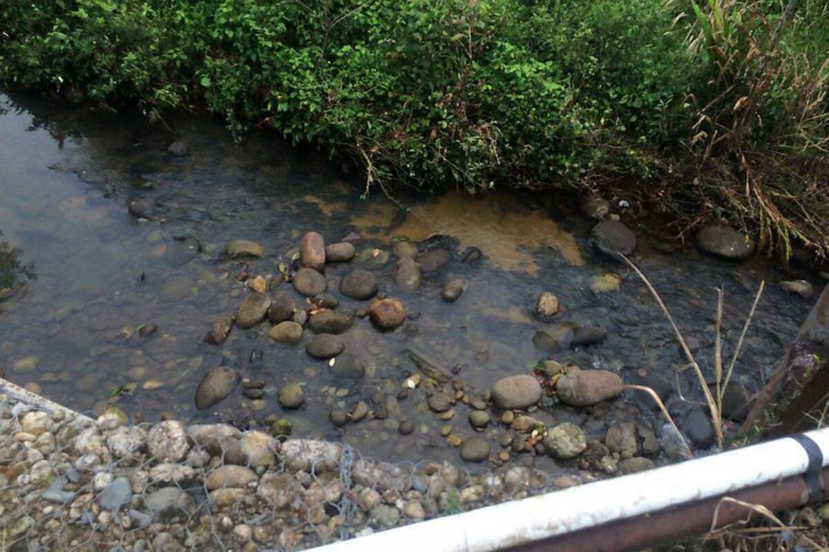 Ejército denunciará derrame de petróleo en Putumayo (Foto: COLPRENSA/VANGUARDIA LIBERAL)