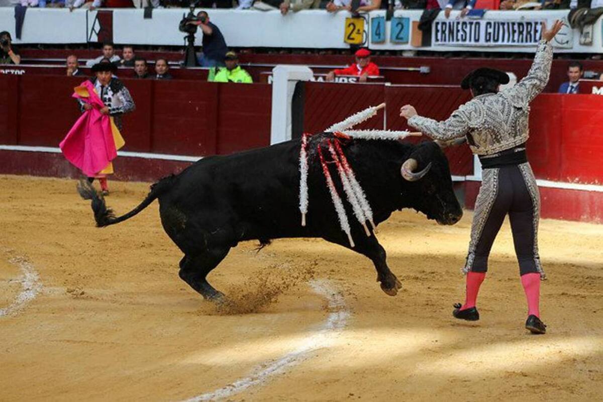 Así está el pulso en la Corte por las corridas de toros (Foto: Colprensa /VANGUARDIA LIBERAL)