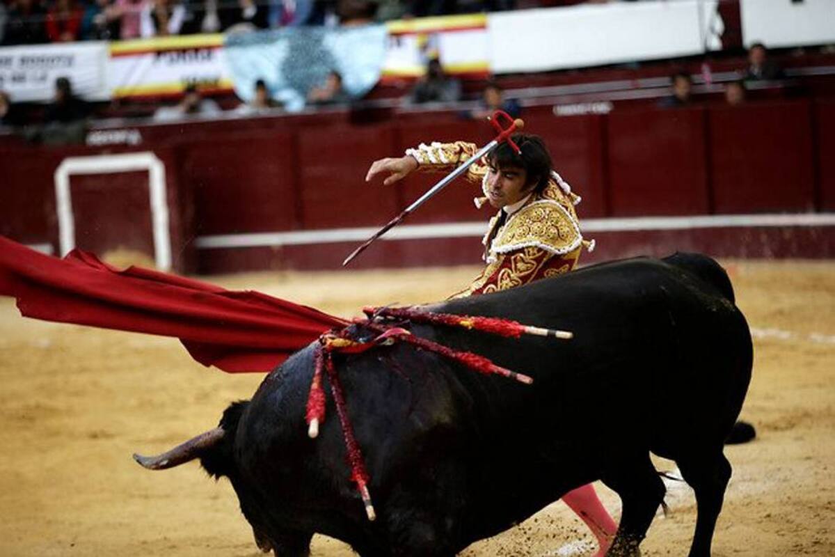 Decisión sobre las corridas de toros se demoraría por recusación contra magistrada (Foto: Colprensa /VANGUARDIA LIBERAL)