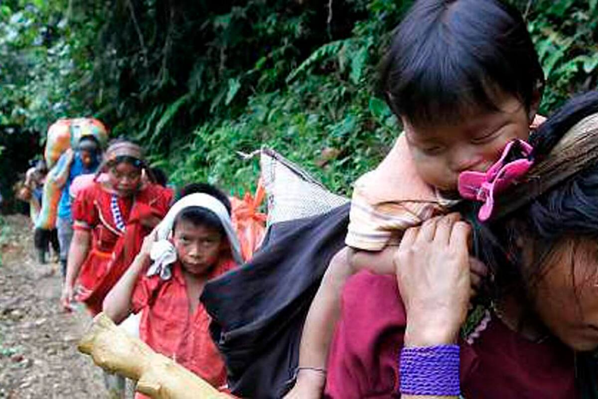 Restituyen 50.000 hectáreas en Chocó a comunidad Embera Katío (Foto: Archivo/VANGUARDIA LIBERAL)