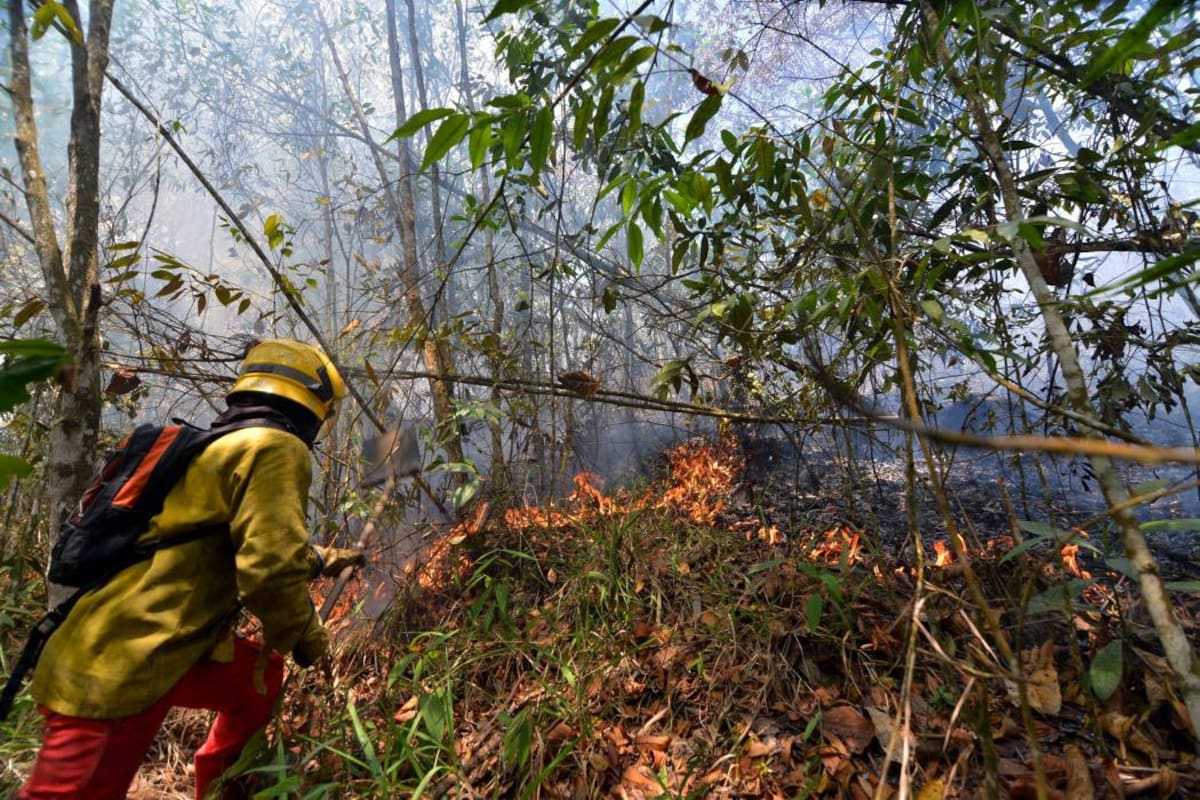 Alerta roja por riesgo de incendios en 6 municipios de Santander (Foto: Archivo /VANGUARDIA LIBERAL)