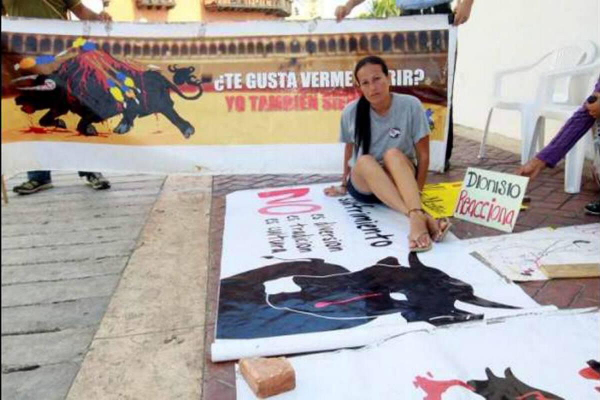 Fanny Pachón, la opositora a las corridas de toros en Cartagena (Foto: COLPRENSA/VANGUARDIA LIBERAL)