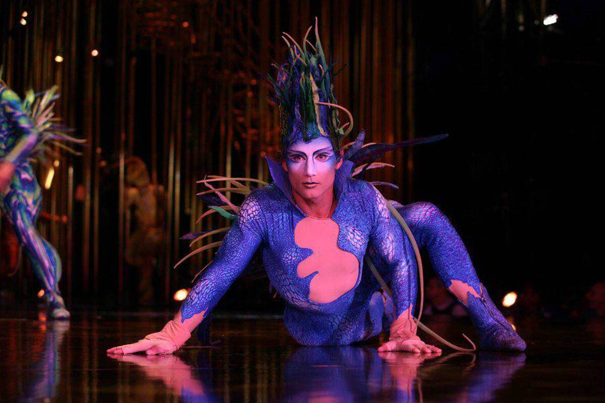 2013: un año cultural para Colombia (Foto: COLPRENSA/VANGUARDIA LIBERAL)