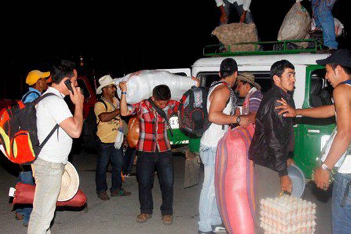 “El paro va para largo”, dicen cafeteros del Huila (Foto: Archivo/VANGUARDIA LIBERAL)
