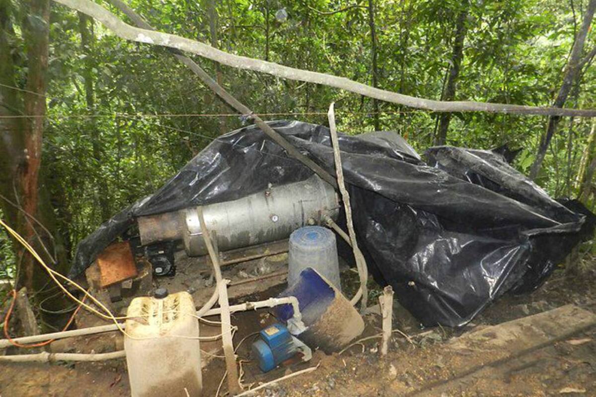 Desmantelan campamento productor de 500 kilos de coca semanal (Foto: COLPRENSA)