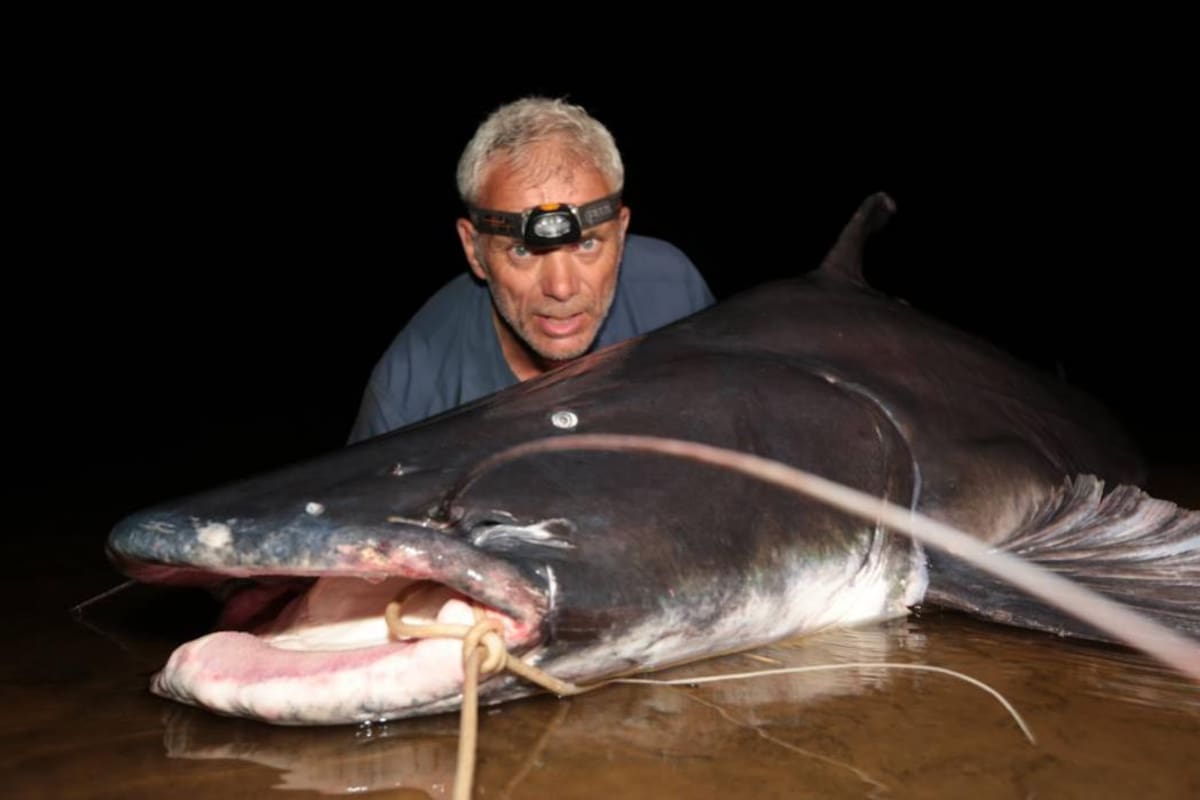 Jeremy Wade sigue nadando entre monstruos (Foto: Archivo / VANGUARDIA LIBERAL)