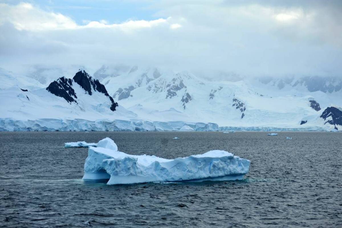 La Antártida puede perder el 85 % de su capa de hielo por el cambio climático (Foto: Archivo /VANGUARDIA LIBERAL)