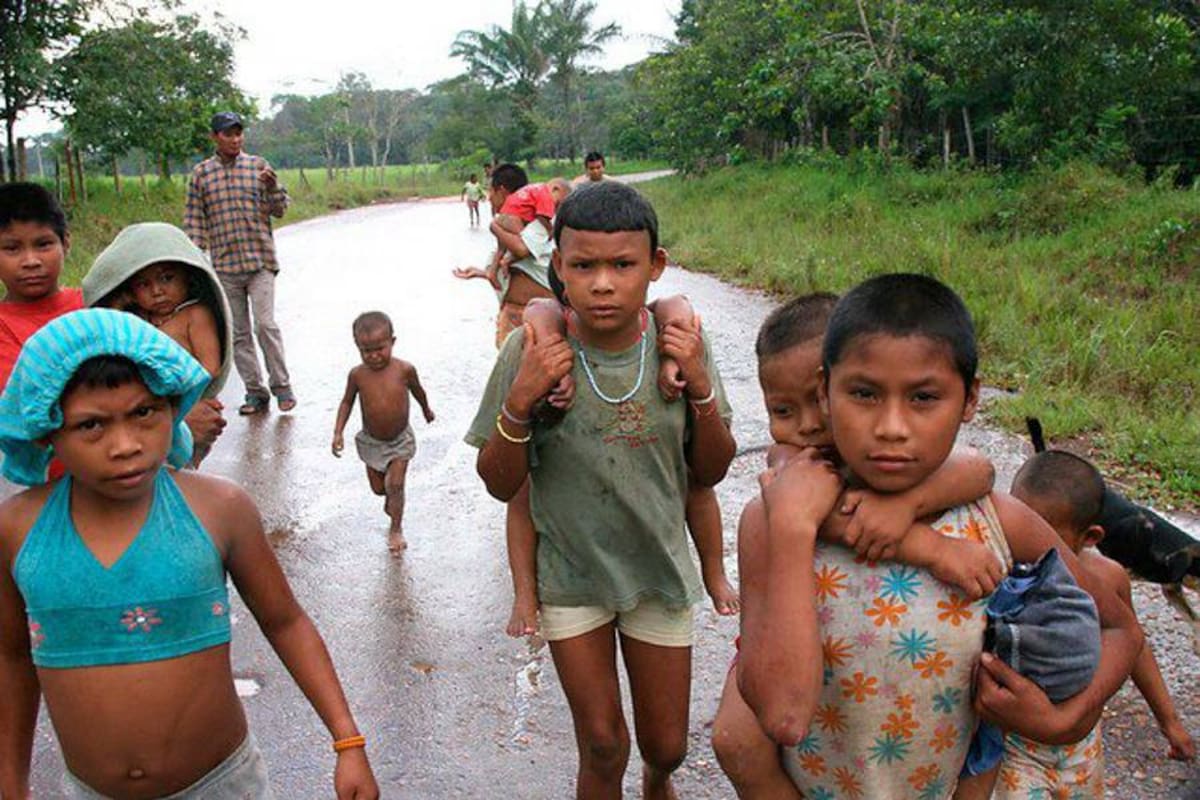 Las Farc incrementan el reclutamiento de niños indígenas (Foto: Colprensa/VANGUARDIA LIBERAL)