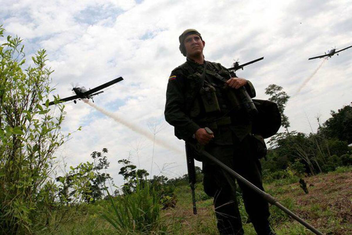 Condenan a Mindefensa por daños en cultivos fumigados (Foto: Colprensa/VANGUARDIA LIBERAL)