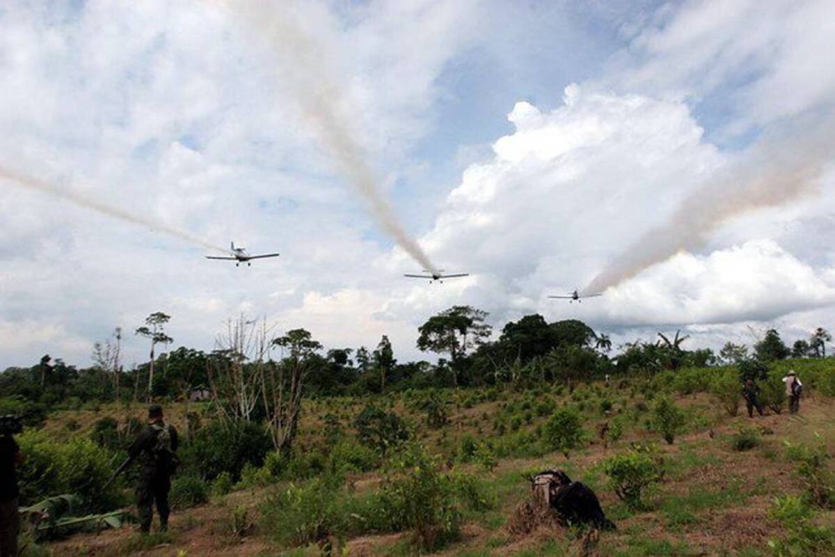No se podrá hacer fumigación con glifosato en parques naturales (Foto: Colprensa/VANGUARDIALIBERAL)
