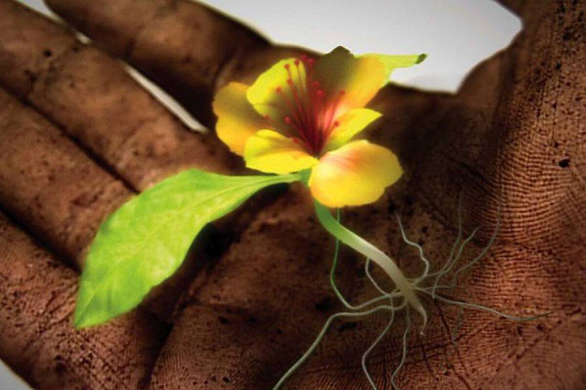 Día de la madre tierra, una oportunidad para la reflexión (Foto: Colprensa/VANGUARDIA LIBERAL)