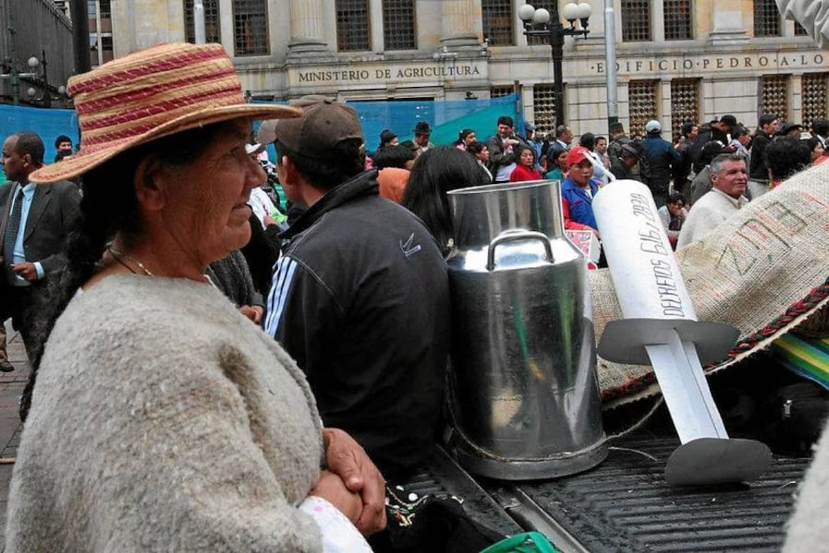 Reconocer al campesinado para un desarrollo rural integral: Pnud (Foto: Colprensa/VANGUARDIA LIBERAL)